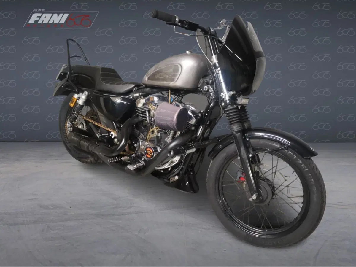 Harley-Davidson 1200 Low (2006 - 07) - XL 1200L (2)
