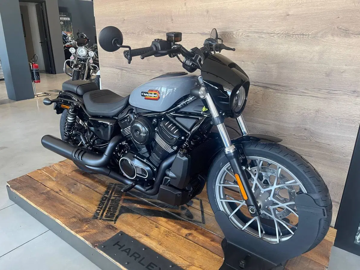 Harley-Davidson Nightster Special (2023 - 26) (2)