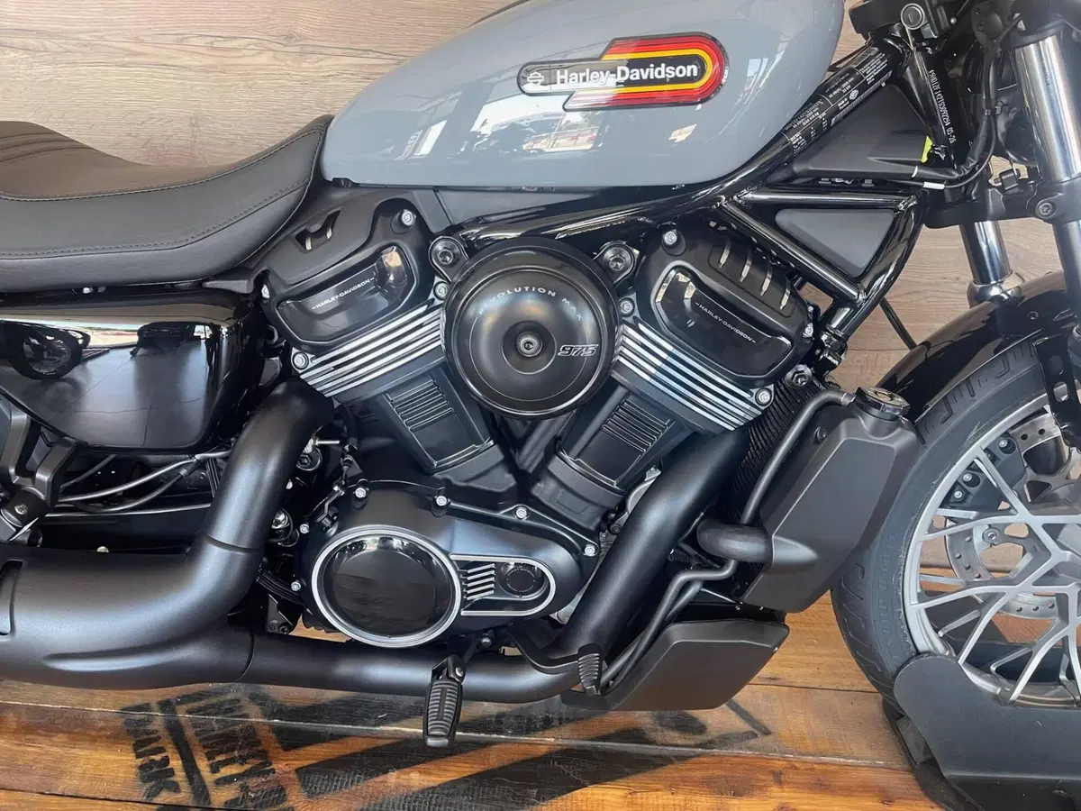 Harley-Davidson Nightster Special (2023 - 26) (3)