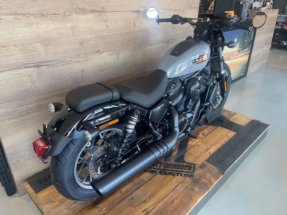 Harley-Davidson Nightster Special (2023 - 26) (4)