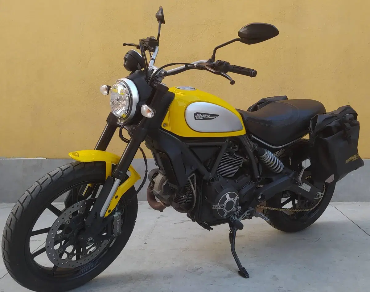 Ducati Scrambler 800 Icon (2015 - 16) (3)