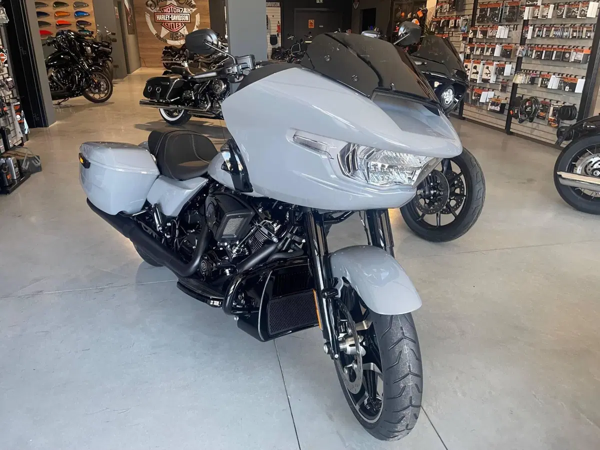 Harley-Davidson Road Glide (2024 - 26) (2)