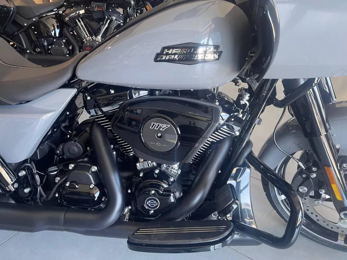 Harley-Davidson Road Glide (2024 - 26) (3)