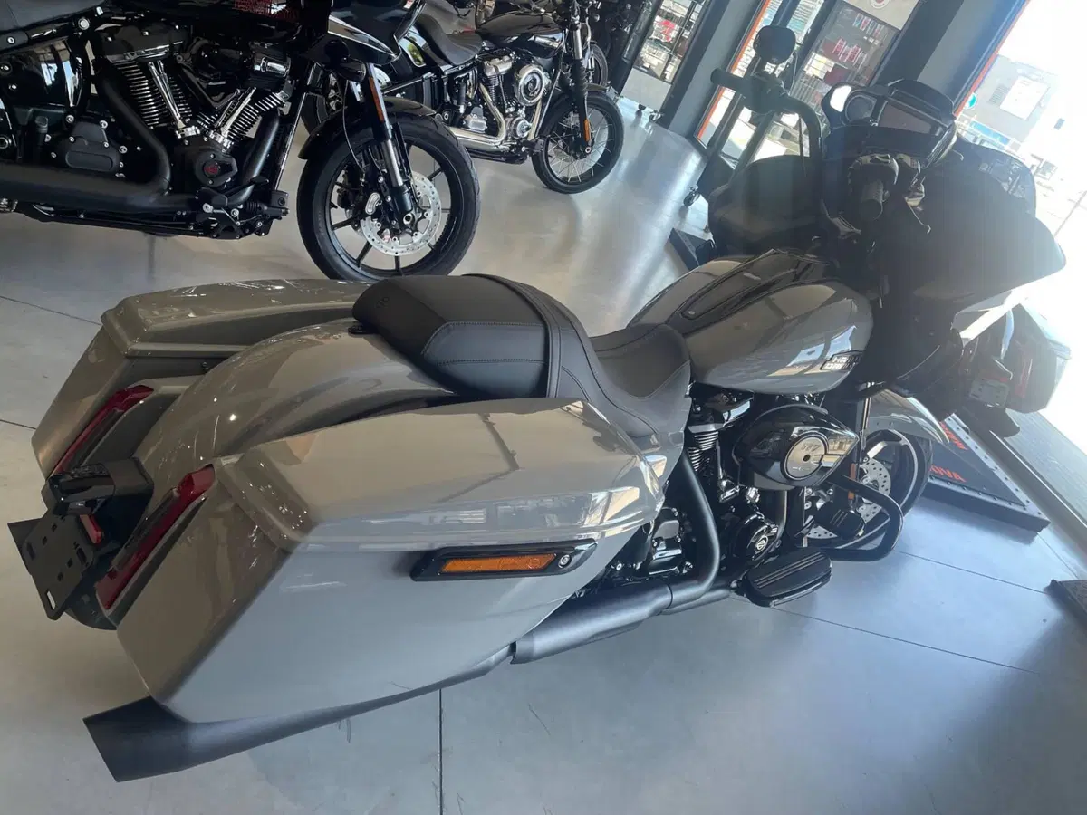 Harley-Davidson Road Glide (2024 - 26) (4)