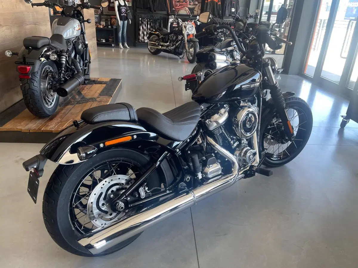 Harley-Davidson Street Bob 117 (2025 - 26) (2)