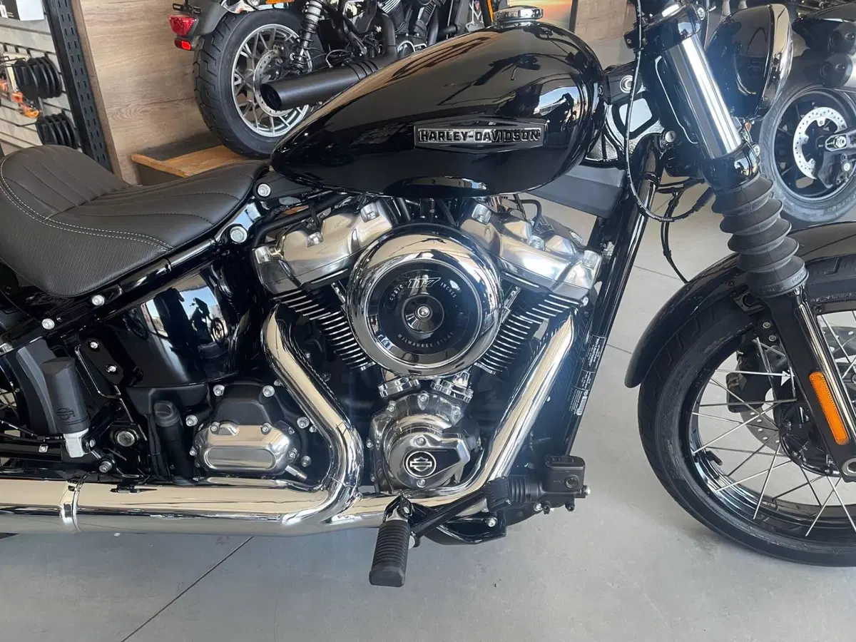 Harley-Davidson Street Bob 117 (2025 - 26) (3)