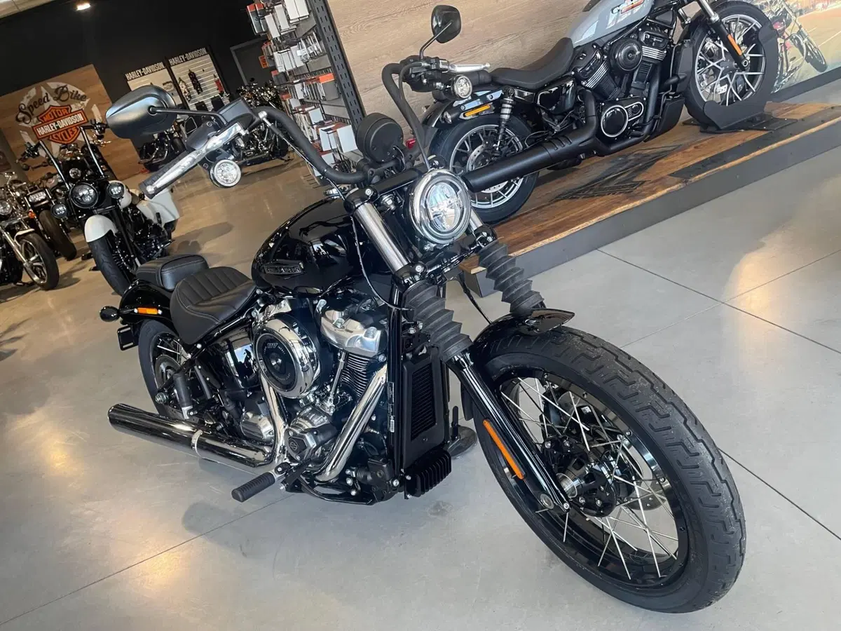 Harley-Davidson Street Bob 117 (2025 - 26) (4)