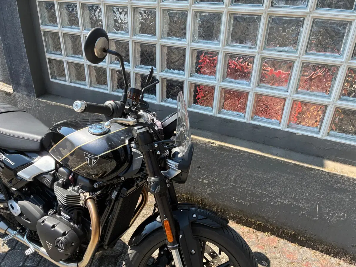 Triumph Speed Twin 900 (2025 - 26) (7)