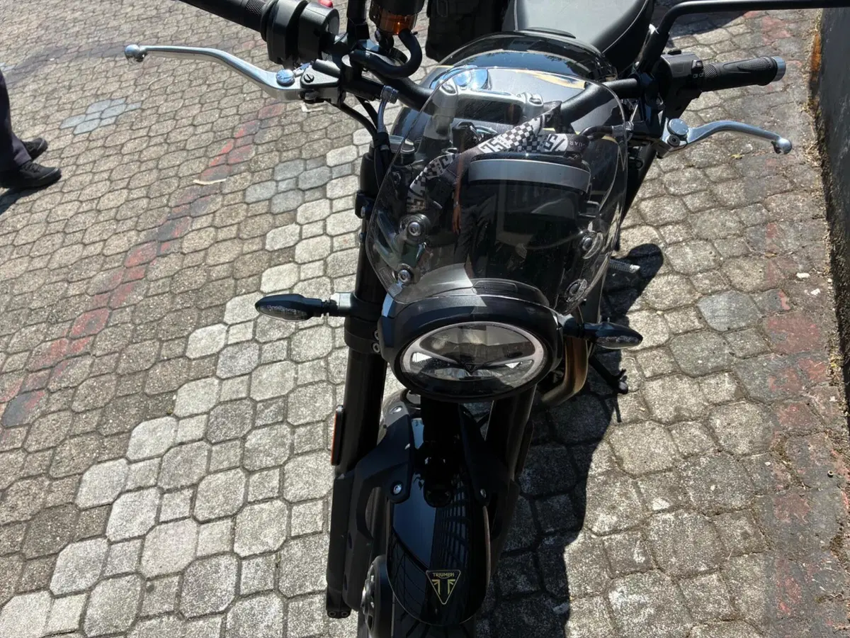 Triumph Speed Twin 900 (2025 - 26) (8)