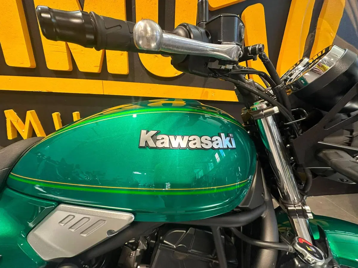 Kawasaki Z 650 RS (2022 - 24) (8)