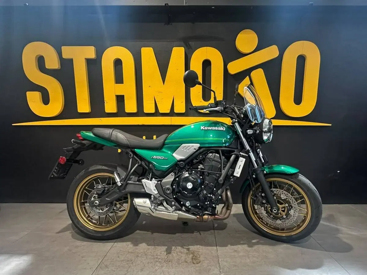 Kawasaki Z 650 RS (2022 - 24)