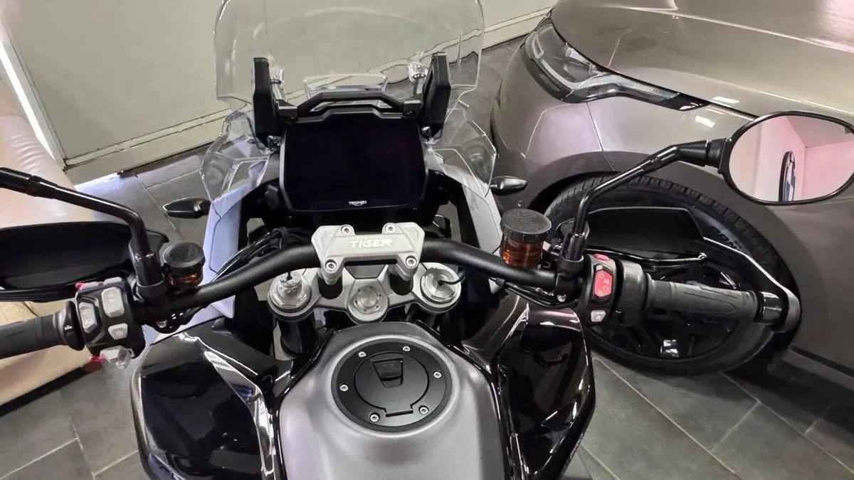 Triumph Tiger 1200 GT Pro (2024 - 26) (11)