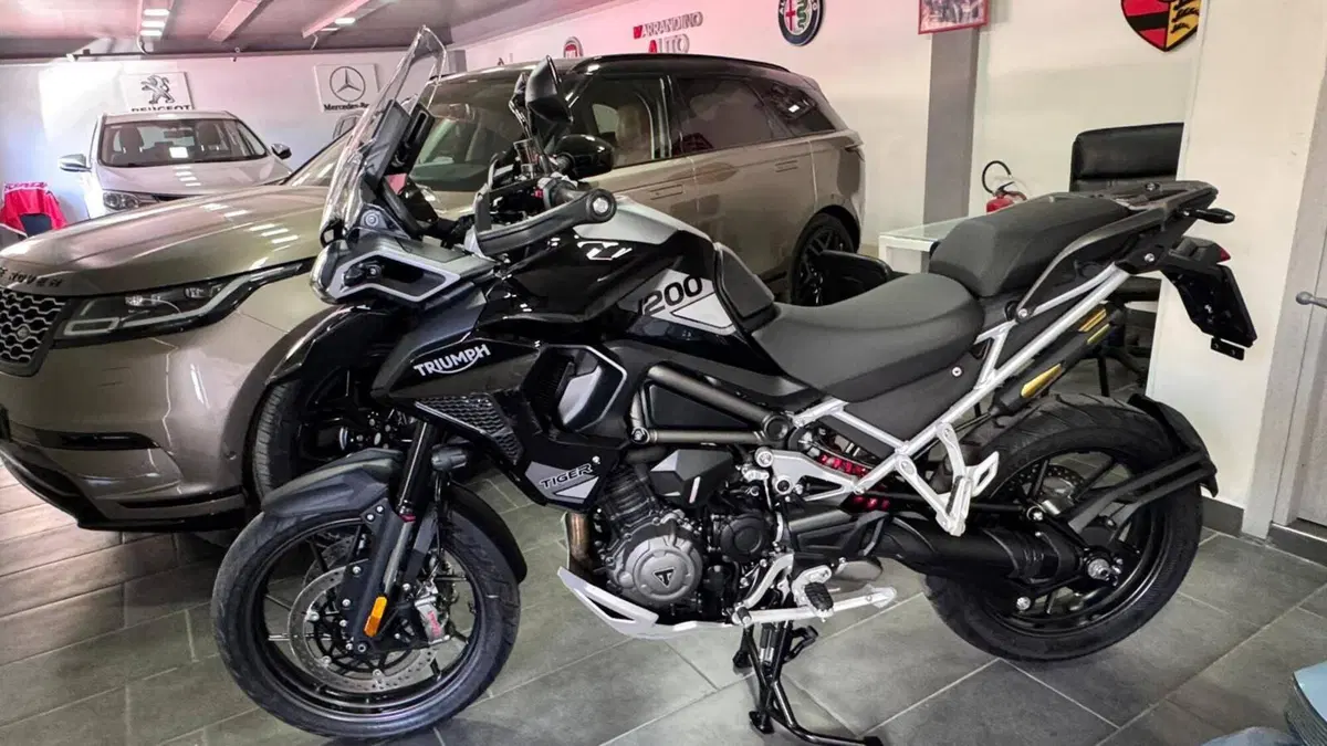 Triumph Tiger 1200 GT Pro (2024 - 26) (4)