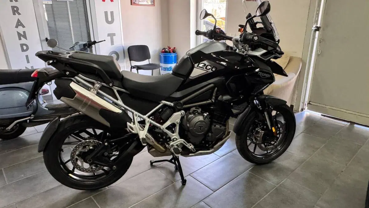Triumph Tiger 1200 GT Pro (2024 - 26) (8)
