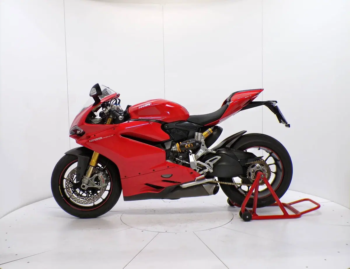 Ducati 1299 Panigale S (2015 - 18) (4)