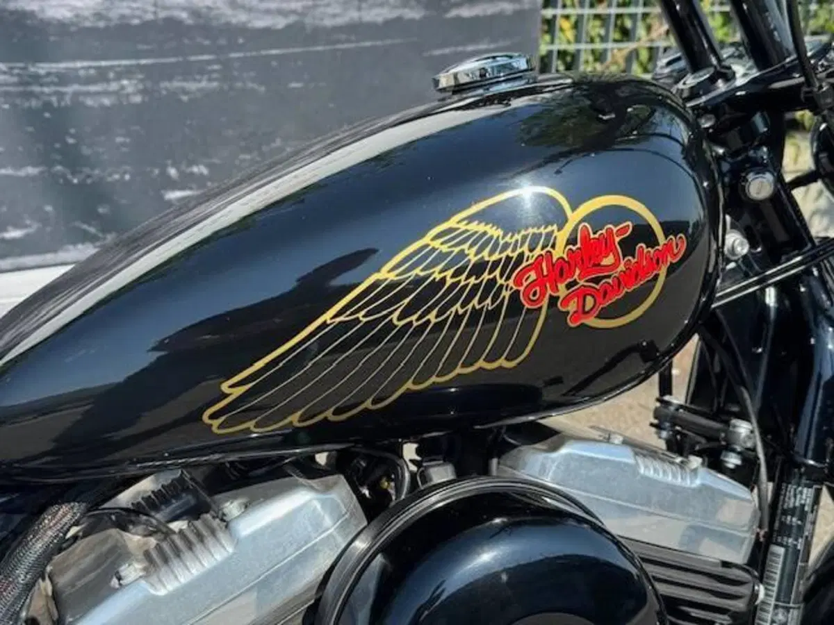 Harley-Davidson 1200 Forty-Eight (2016 - 20) (2)