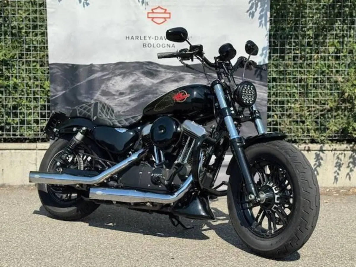 Harley-Davidson 1200 Forty-Eight (2016 - 20) (7)