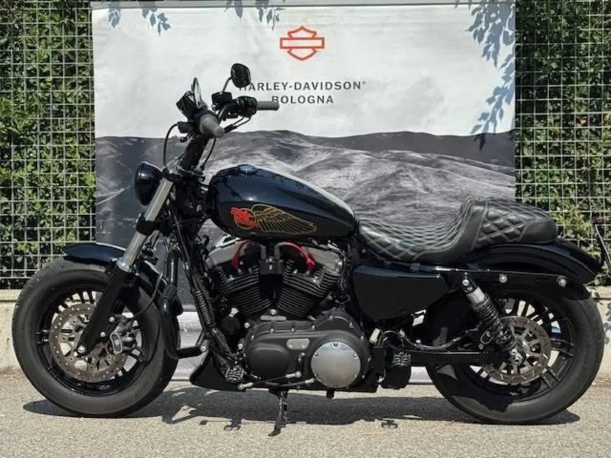Harley-Davidson 1200 Forty-Eight (2016 - 20) (9)