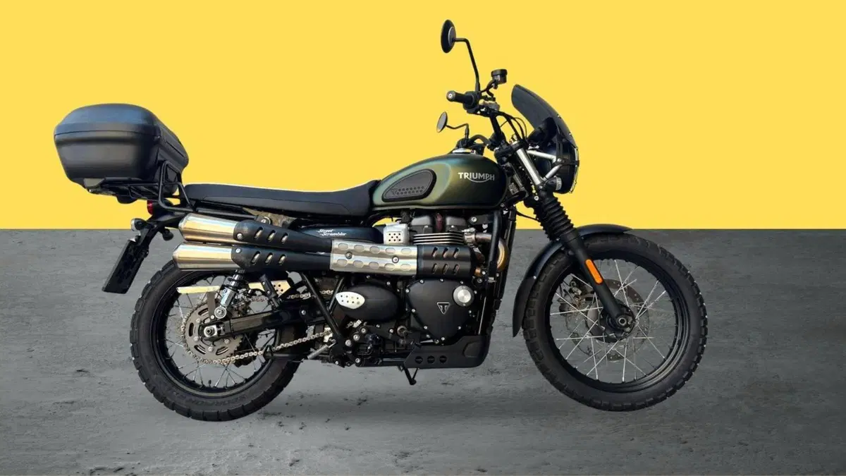 Triumph Street Scrambler 900 (2017 - 18) (4)