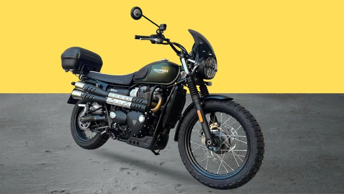 Triumph Street Scrambler 900 (2017 - 18) (2)