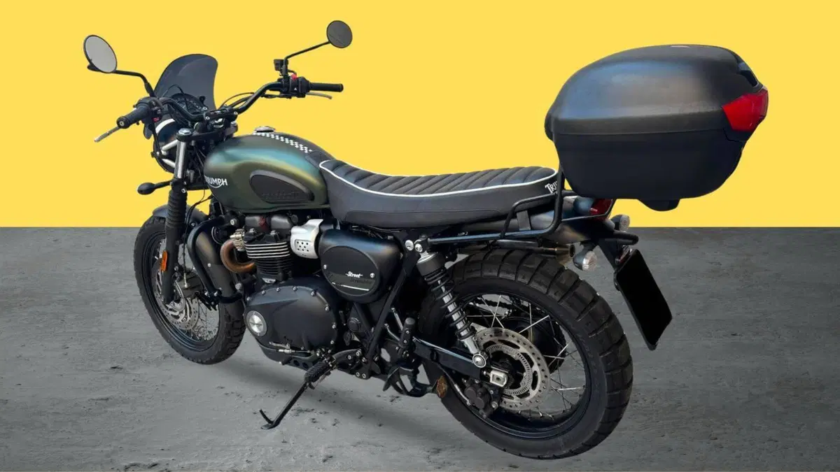 Triumph Street Scrambler 900 (2017 - 18) (3)