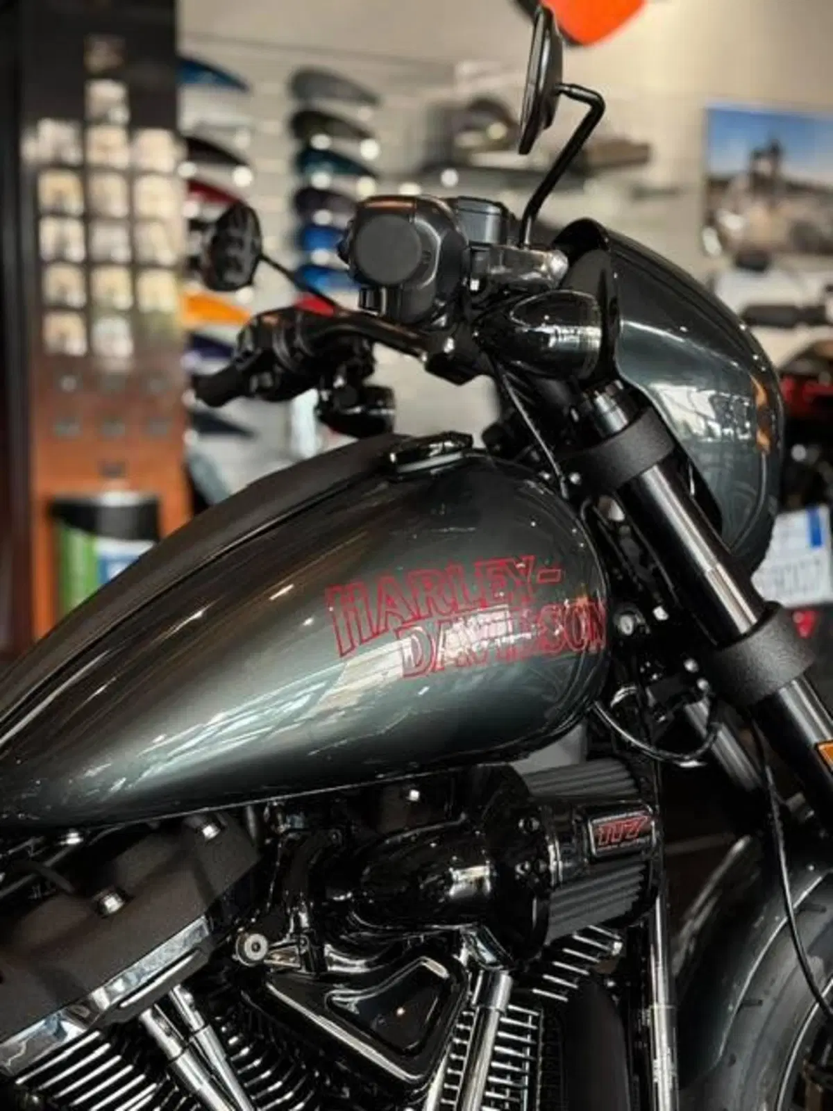Harley-Davidson Low Rider S (2025 - 26) (4)