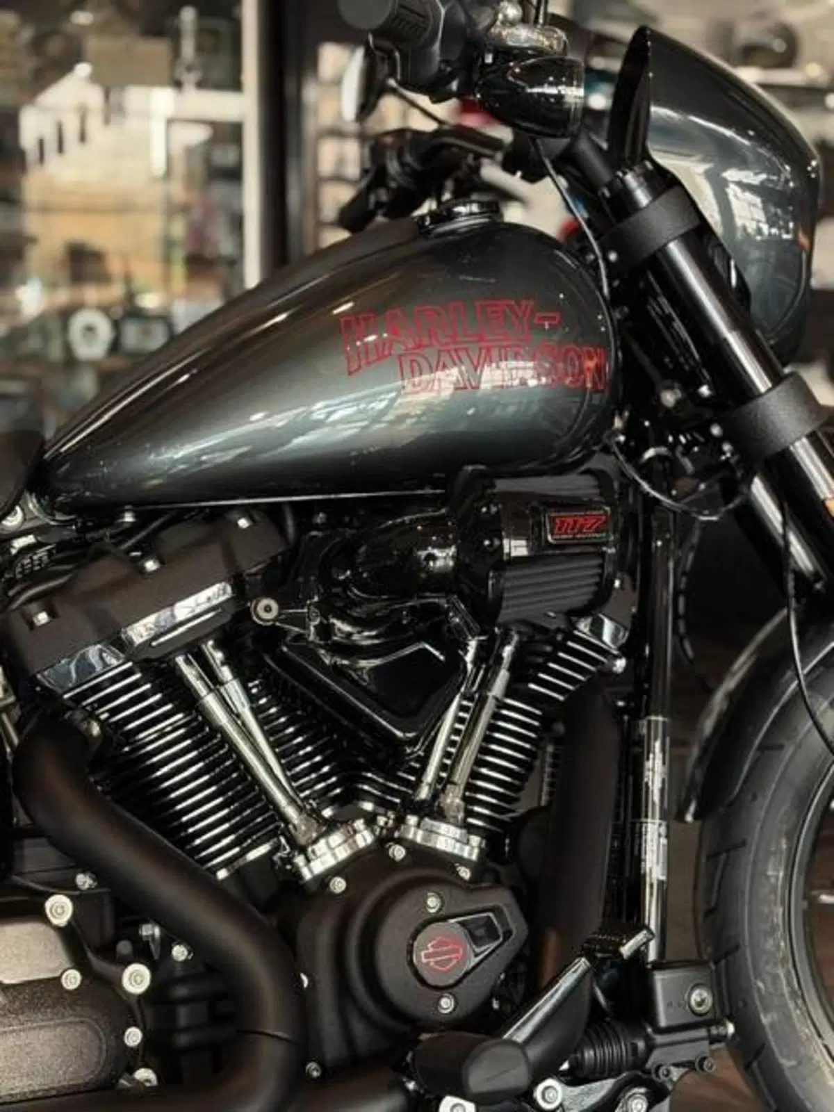 Harley-Davidson Low Rider S (2025 - 26) (6)
