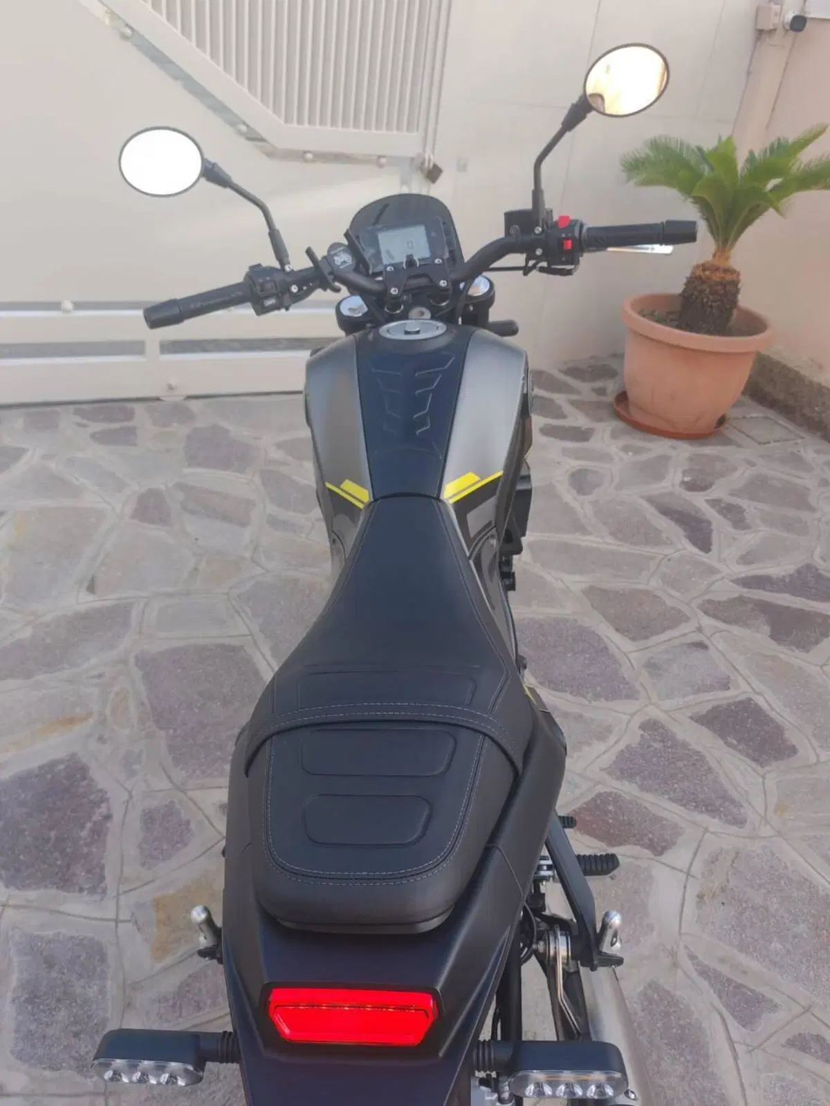 Benelli Leoncino 250 (2021 - 25) (2)