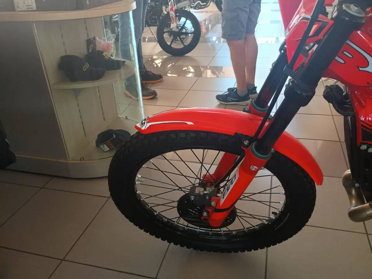 Betamotor Evo 300 2T (2023 - 24) (2)