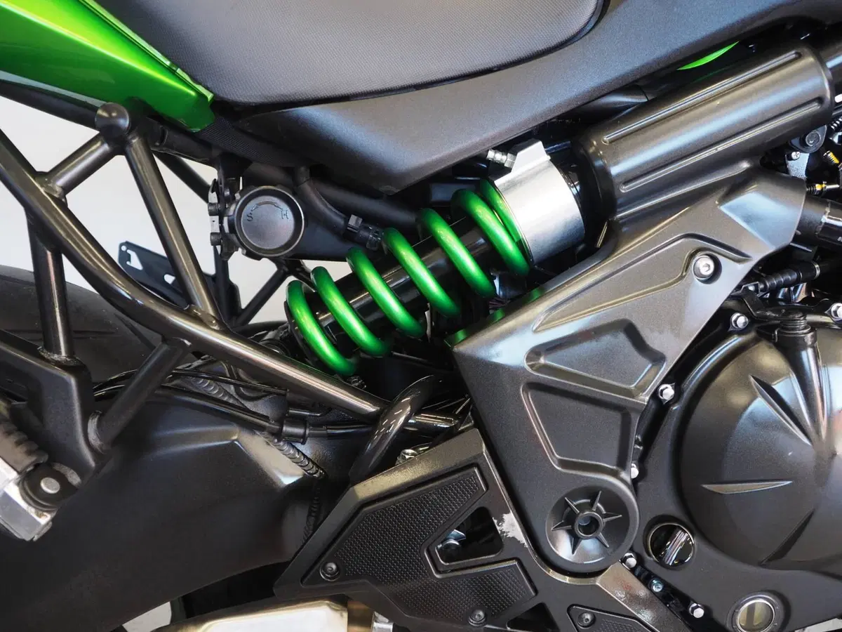 Kawasaki Versys 650 (2017 - 20) (4)