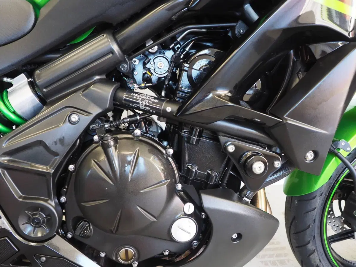 Kawasaki Versys 650 (2017 - 20) (6)