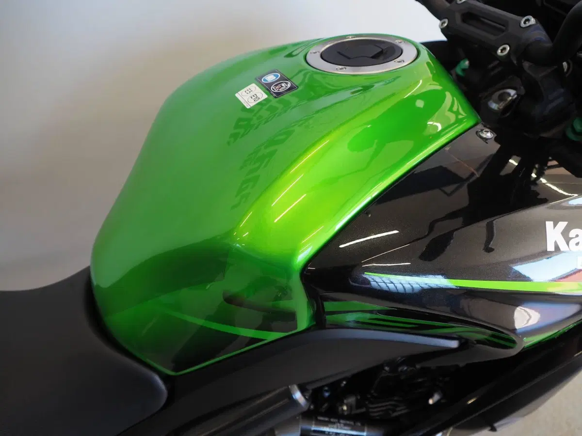 Kawasaki Versys 650 (2017 - 20) (8)
