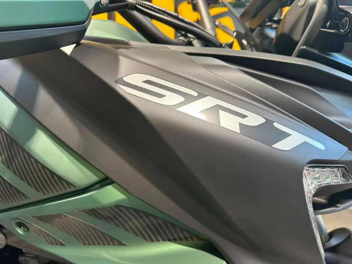 QJ Motor SRT 900 SX (2025 - 26) (7)