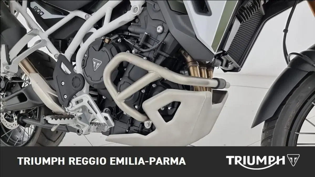 Triumph Tiger 900 Rally Pro (2020 - 23) (18)