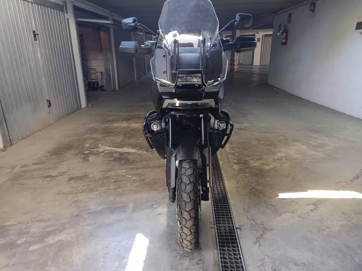Harley-Davidson Pan America 1250 Special (2020 - 25) (10)