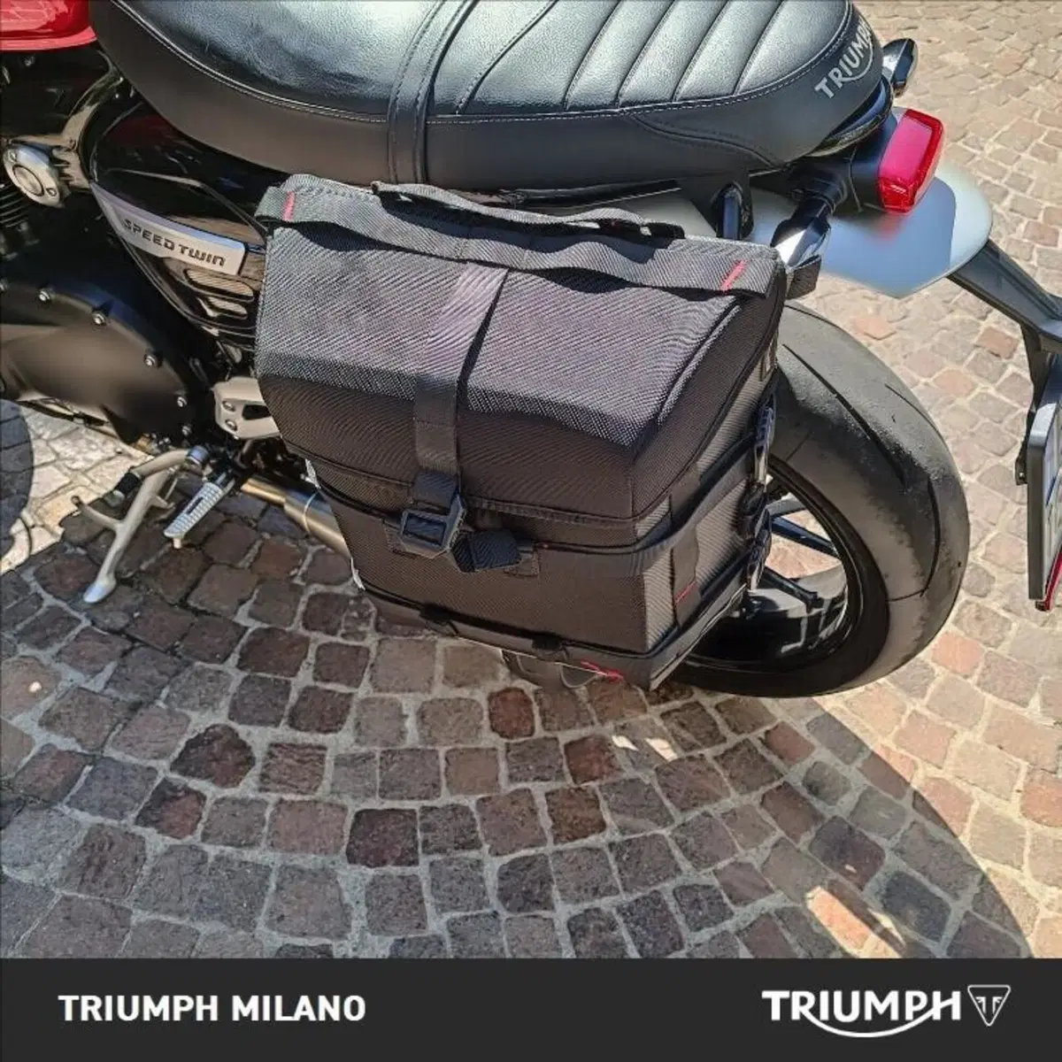 Triumph Speed Twin 1200 (2021 - 24) (3)