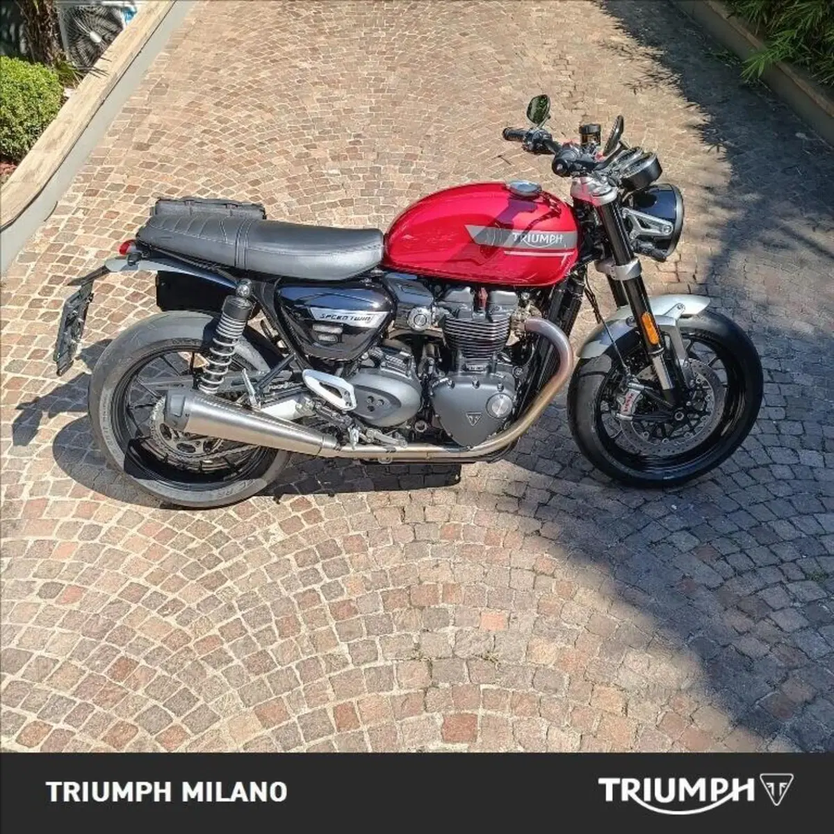 Triumph Speed Twin 1200 (2021 - 24)