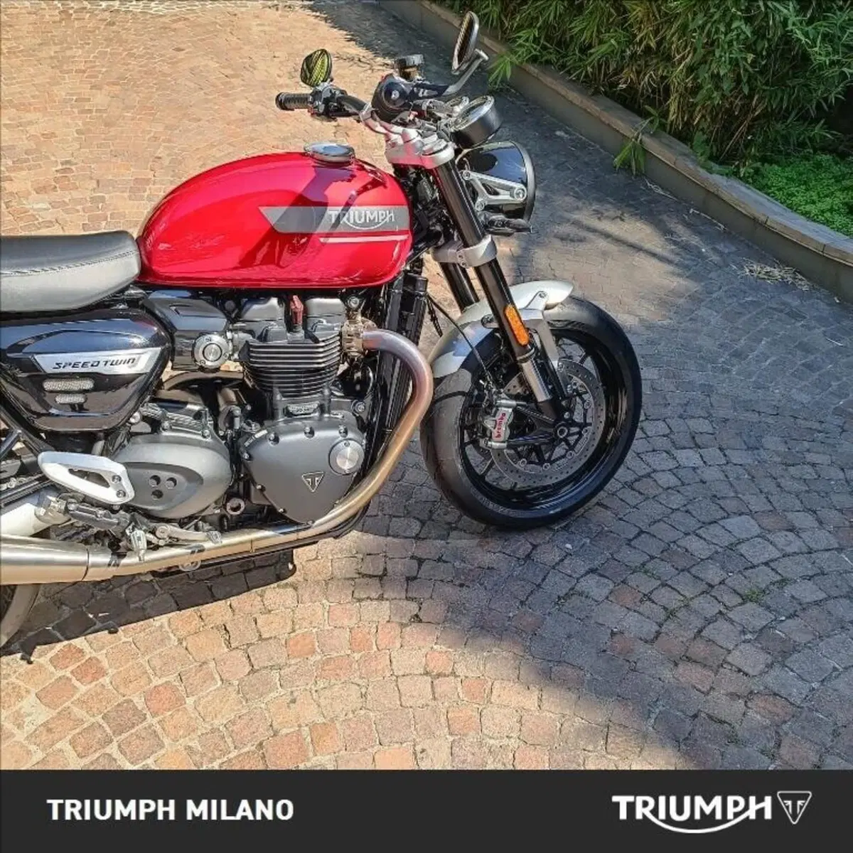 Triumph Speed Twin 1200 (2021 - 24) (4)
