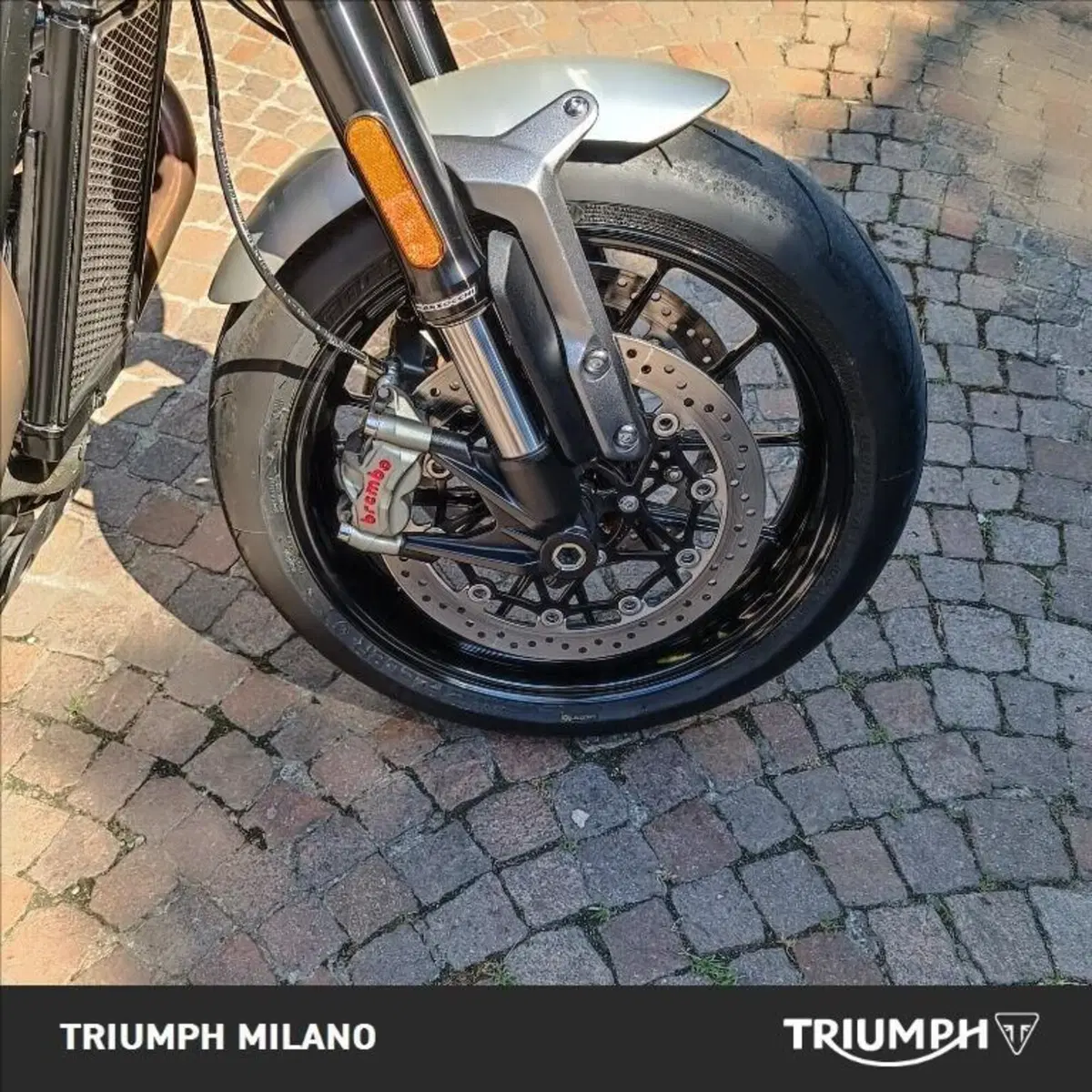 Triumph Speed Twin 1200 (2021 - 24) (5)