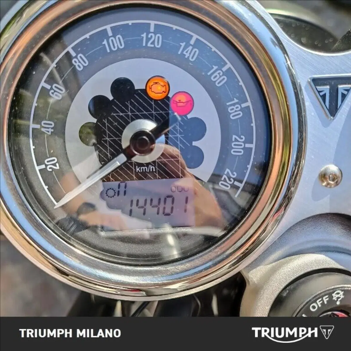 Triumph Speed Twin 1200 (2021 - 24) (6)