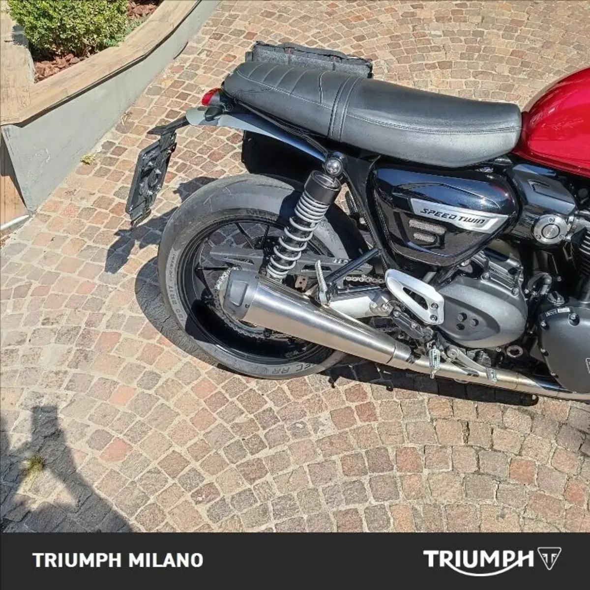 Triumph Speed Twin 1200 (2021 - 24) (2)