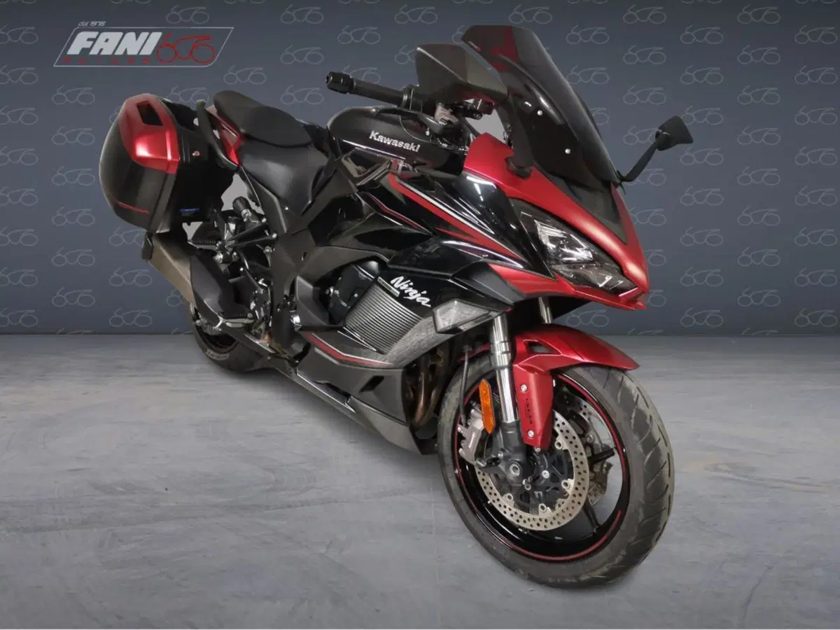 Kawasaki Ninja 1000 SX (2021 - 24) (2)