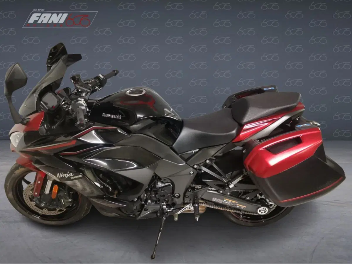 Kawasaki Ninja 1000 SX (2021 - 24) (3)