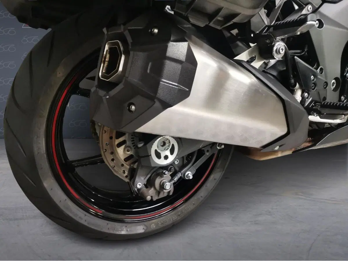 Kawasaki Ninja 1000 SX (2021 - 24) (6)