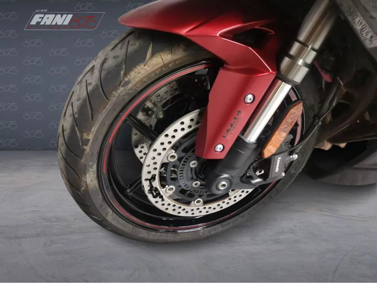 Kawasaki Ninja 1000 SX (2021 - 24) (5)