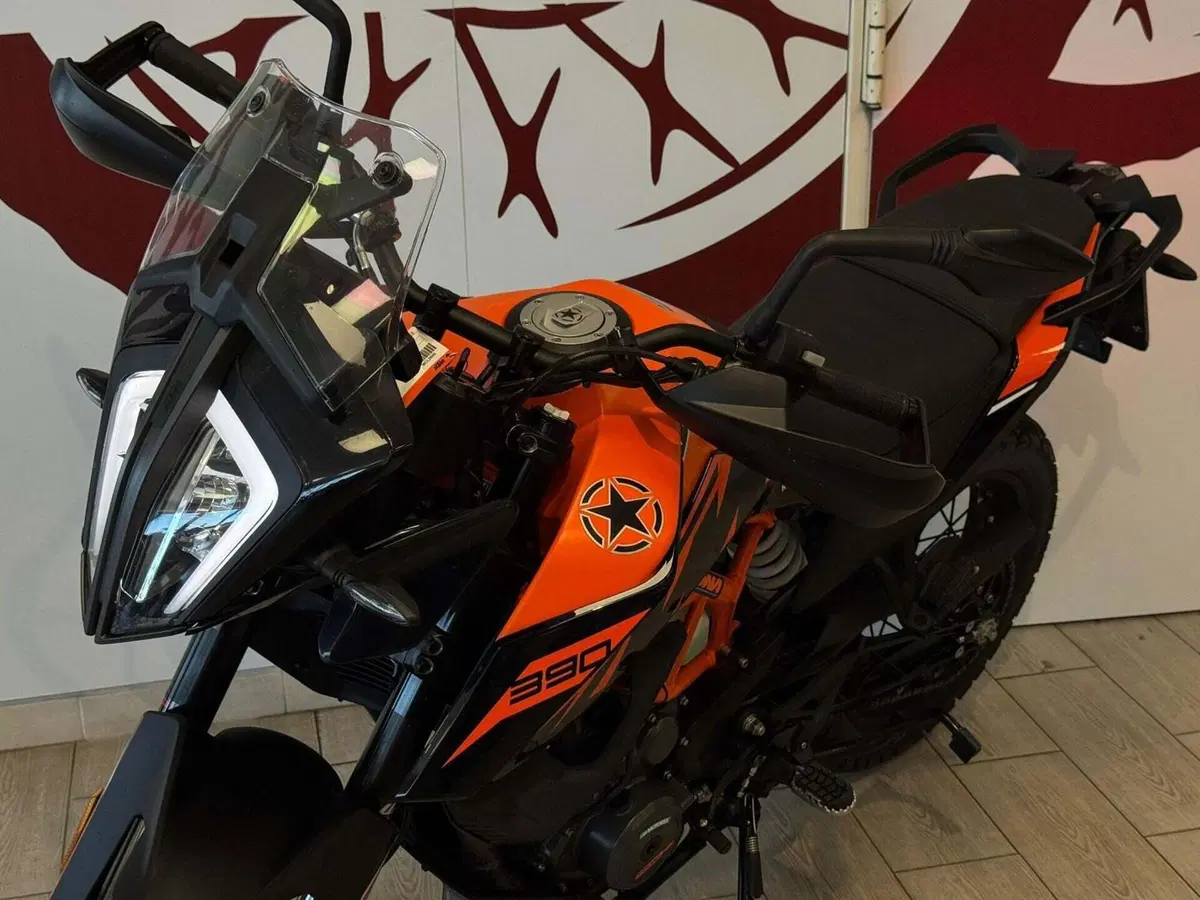 KTM 390 Adventure SW "Spooked Wheels" (2023 - 24) (6)