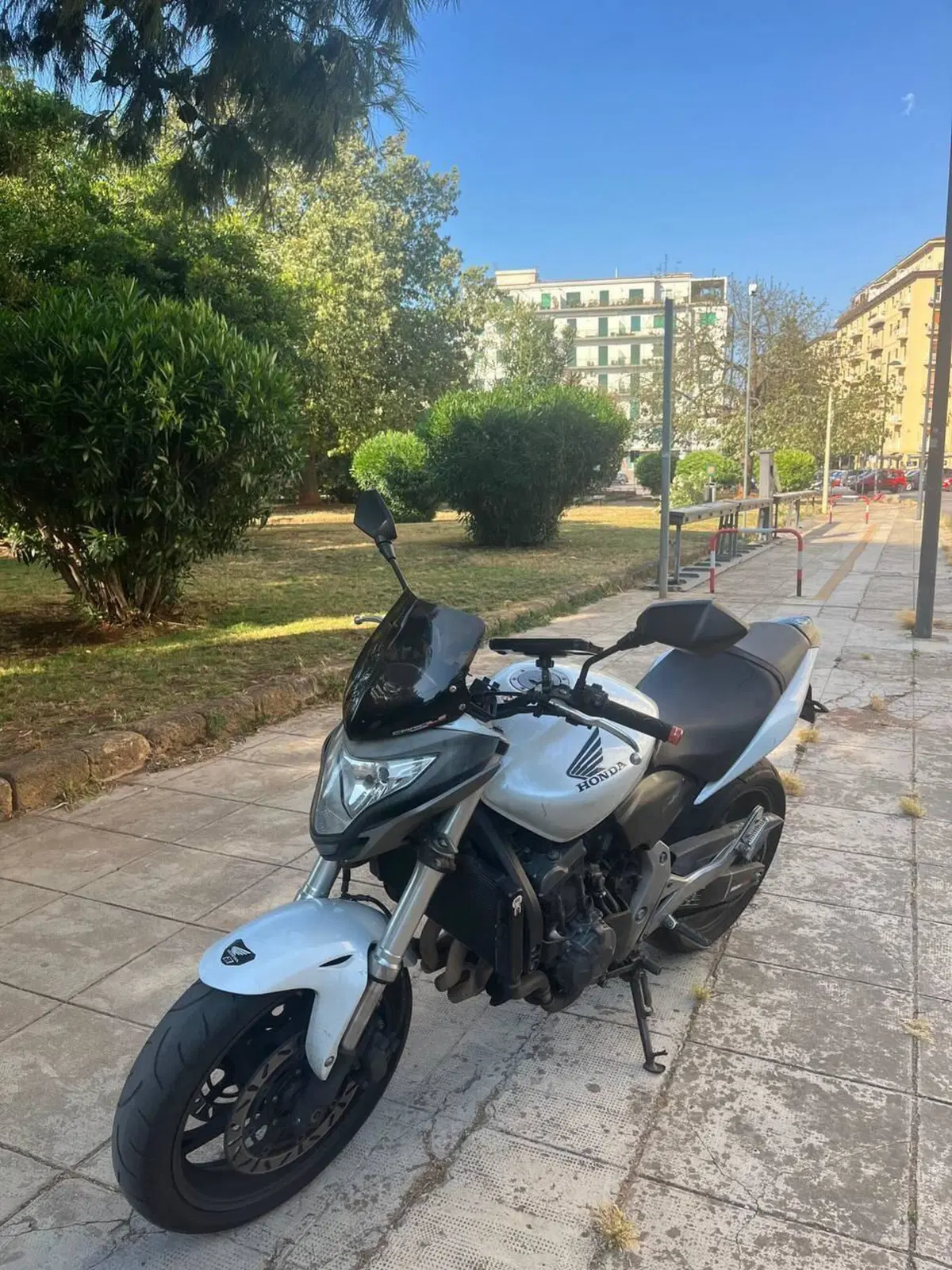 Honda Hornet 600 (2011 - 13) (5)