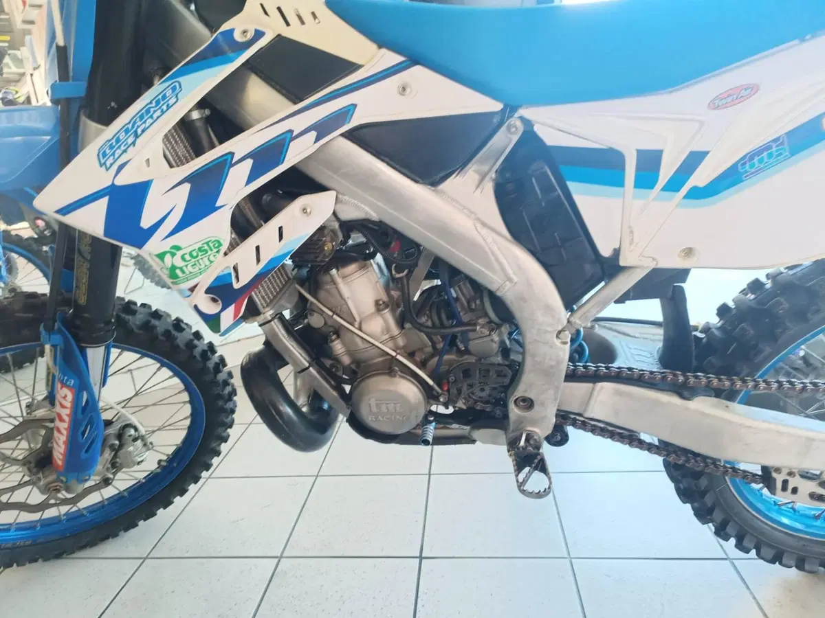 Tm Moto MX 300 (2016) (4)