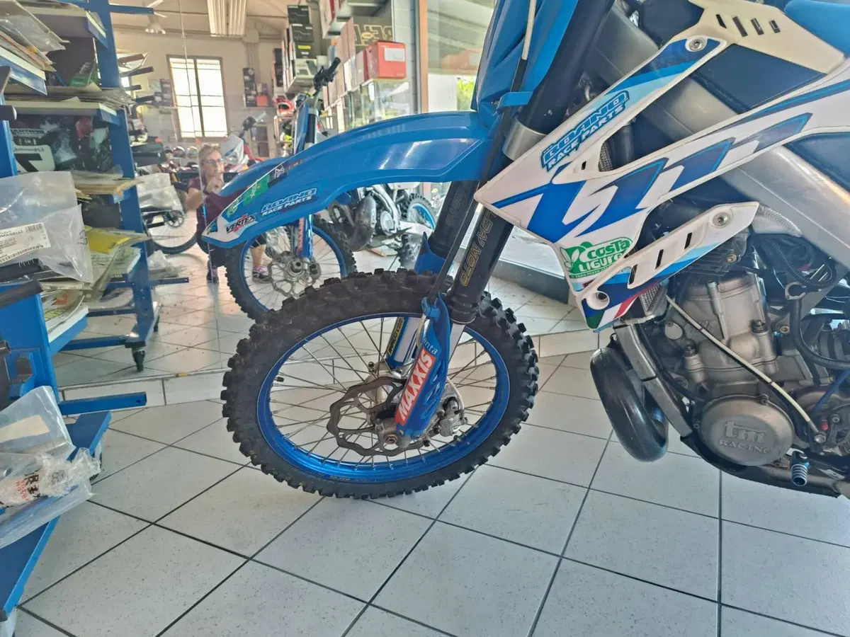 Tm Moto MX 300 (2016) (5)