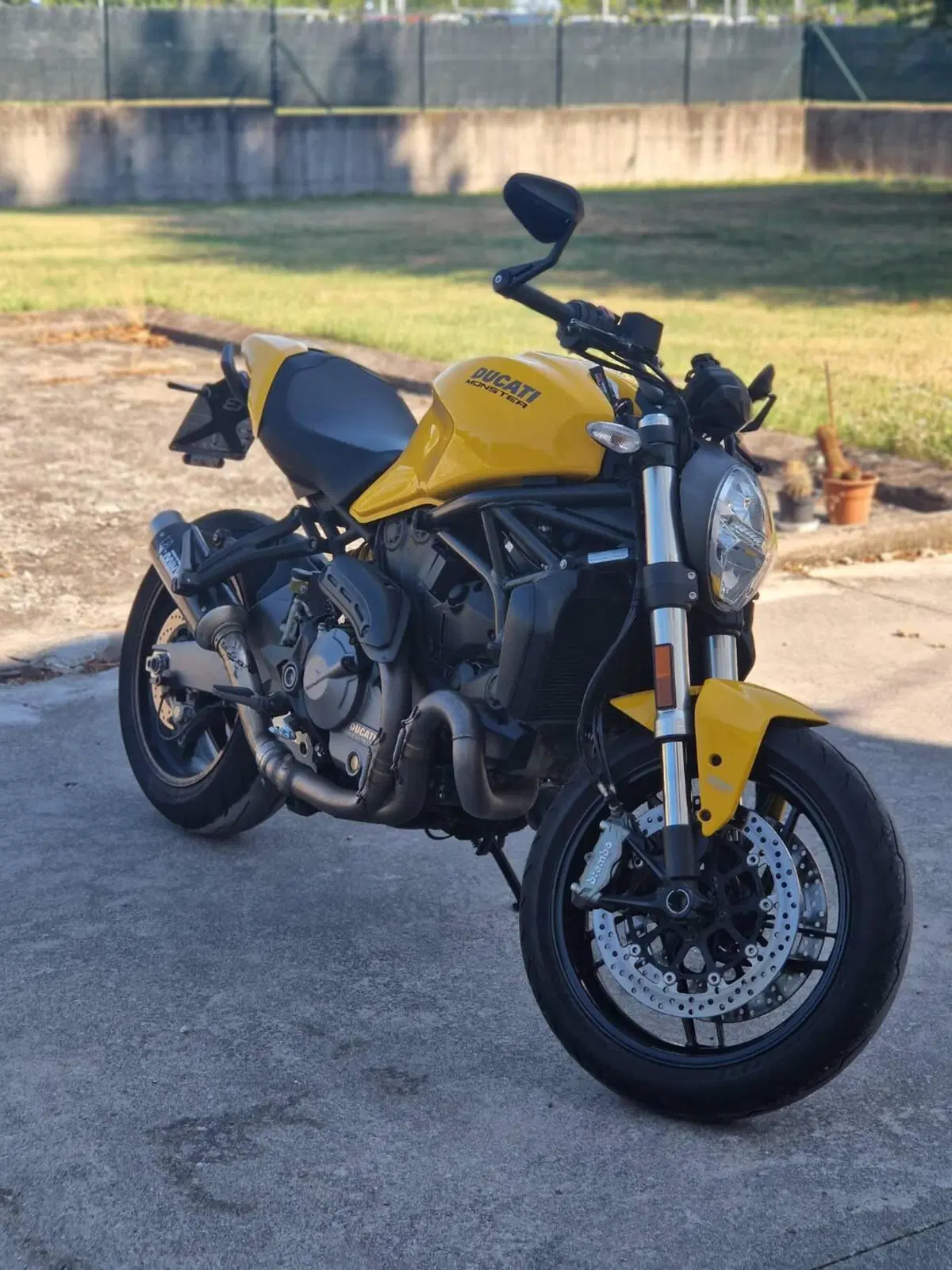 Ducati Monster 821 (2018 - 20) (2)